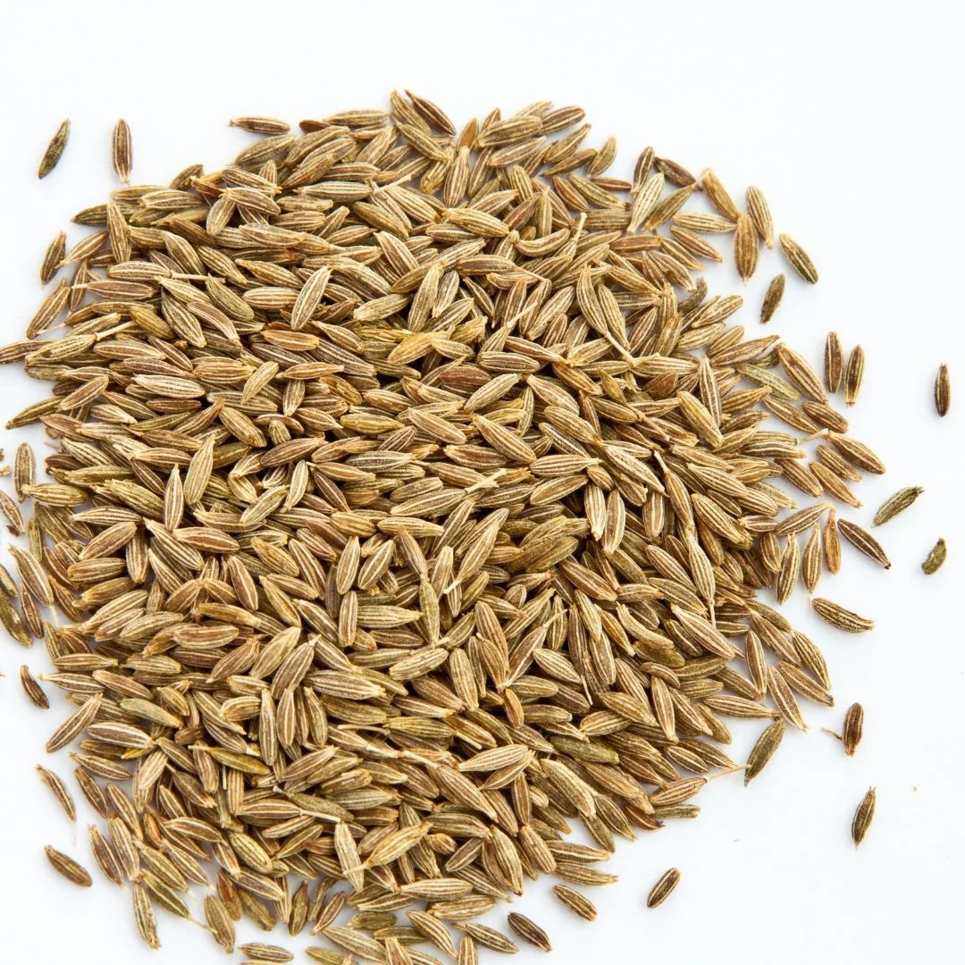Оптовая покупка, натуральные семена тмина, заводская цена, оптовая продажа, индийские семена тмина, поставщик из Индии