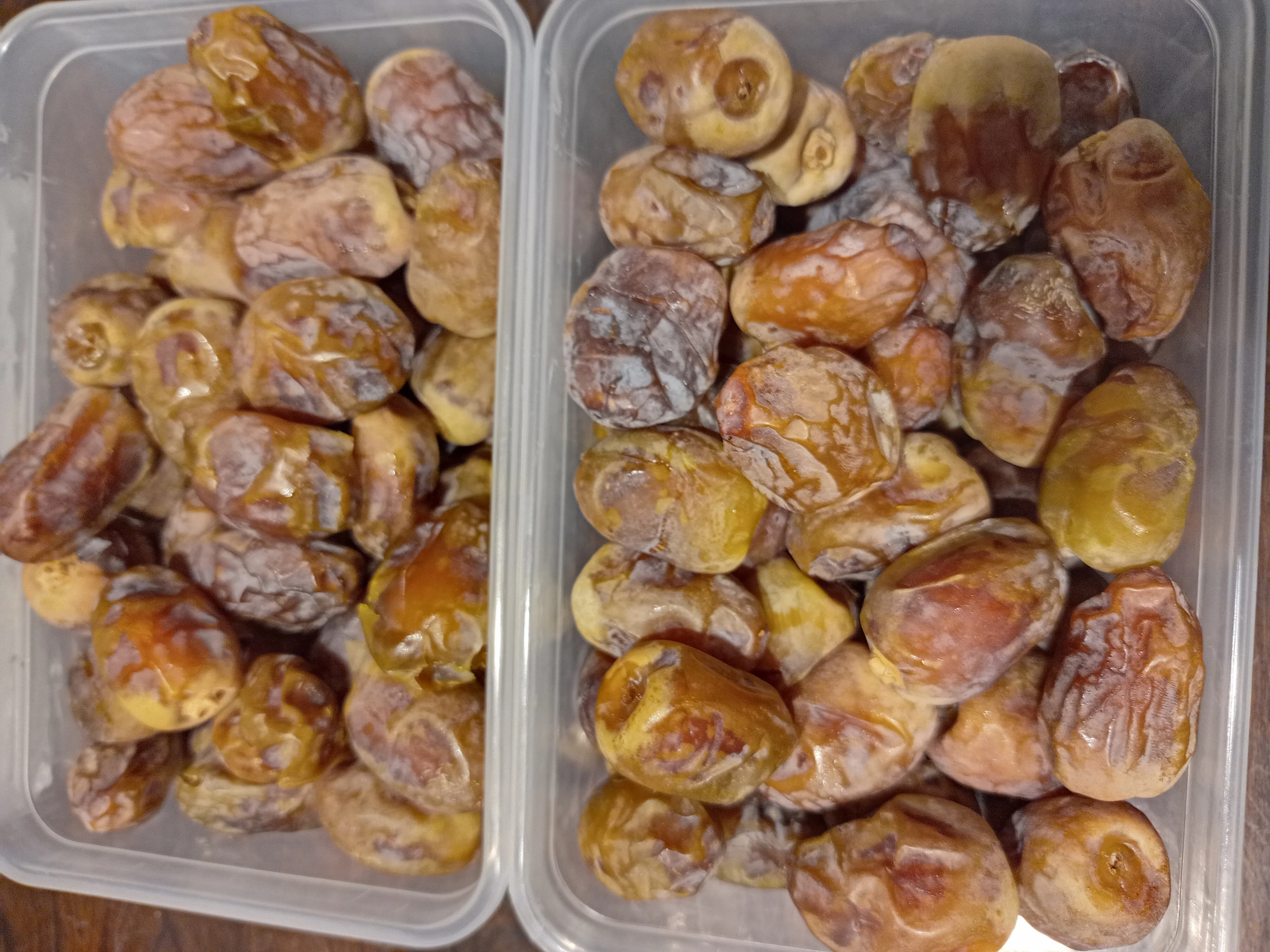 Sheshi Dates very cheap dates new harvest  2022 best quality ready for loading and shipping available customized packing