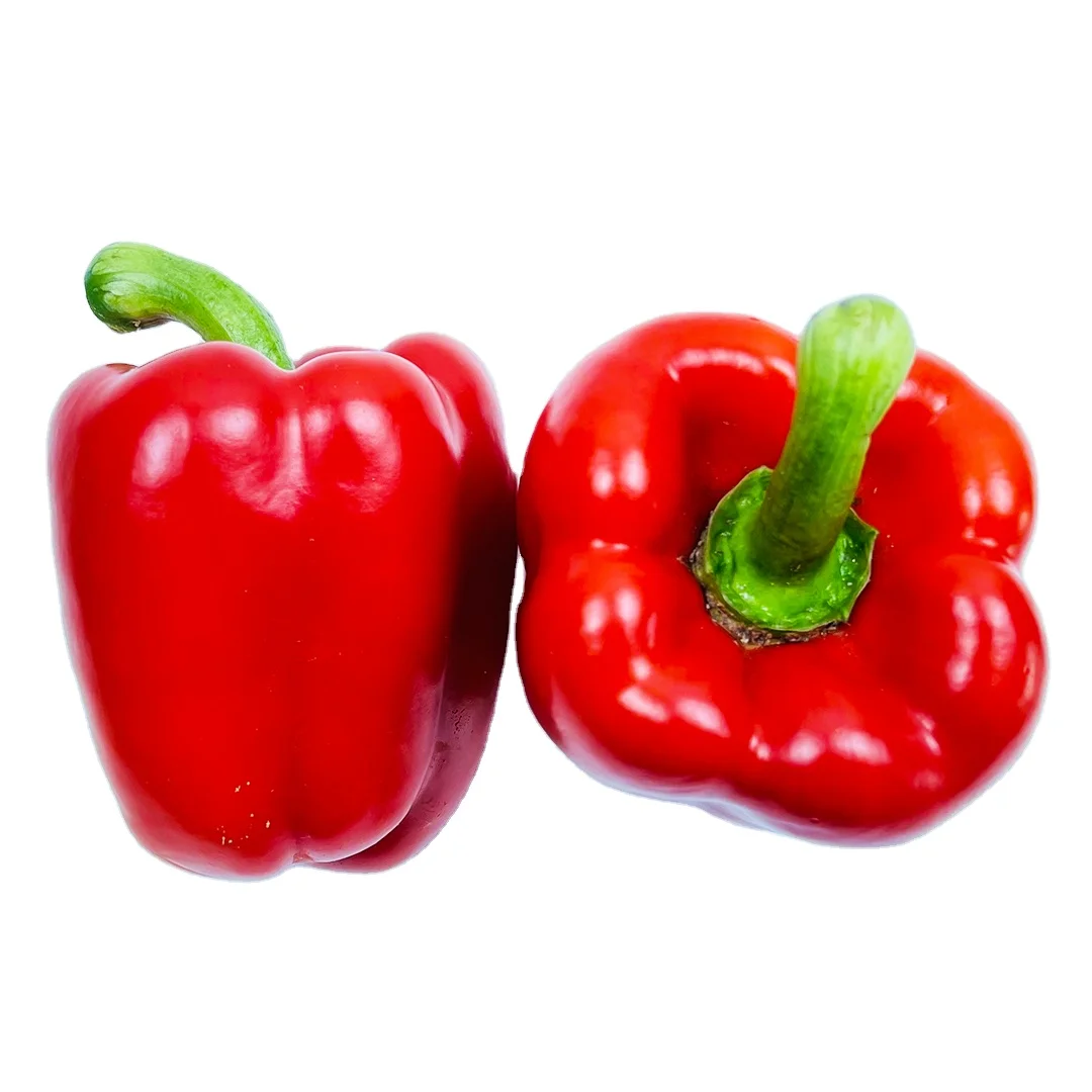 100% Natural Product Vietnamese Fresh Capsicum Fresh Bell Sweet Color Pepper Yellow Red Green Pepper