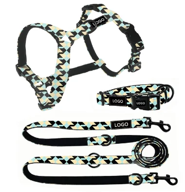 personalised collar custom reflective cat cuban pu leather dog harness soft braided rope recycled leash pet recovery with handle