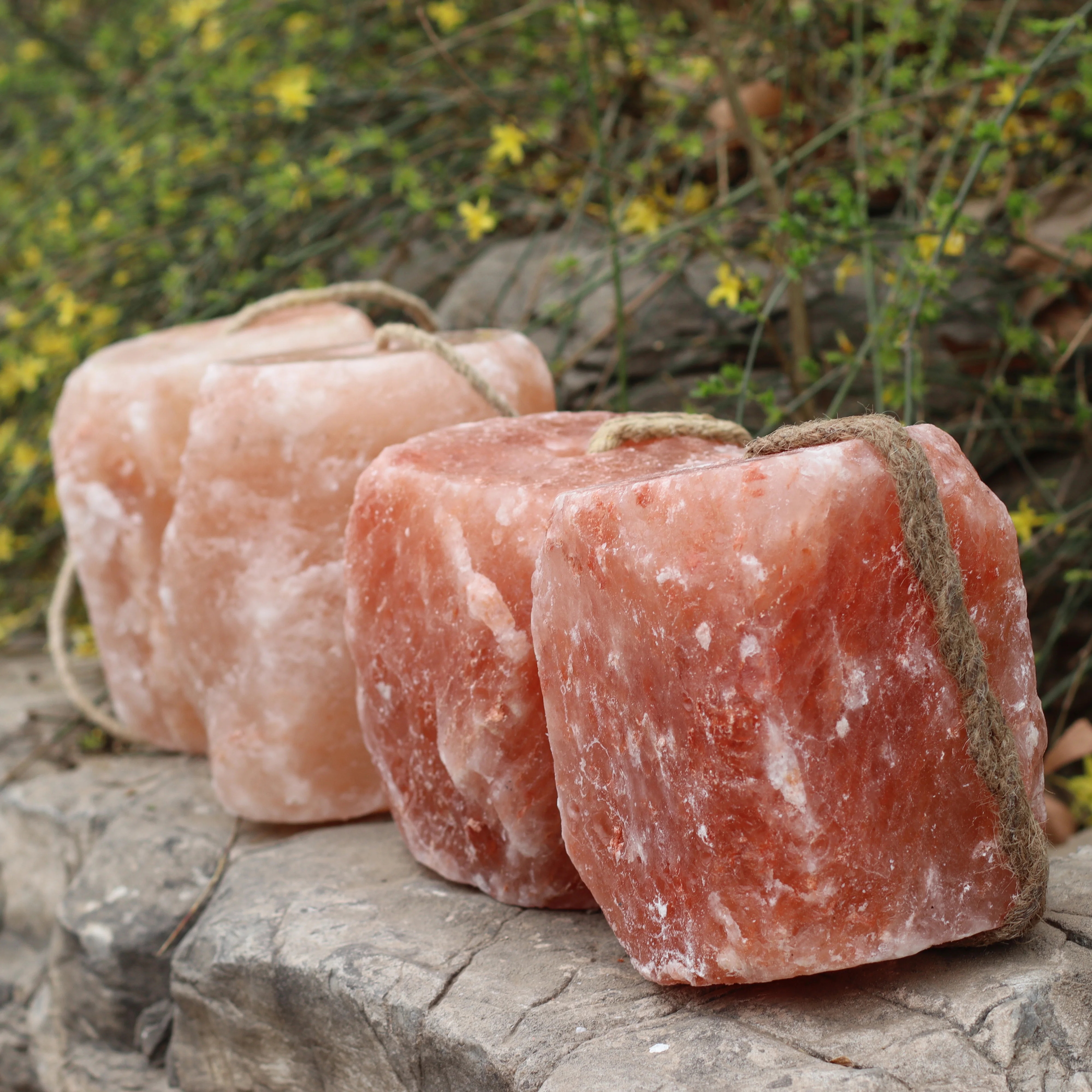 Himalayan Salt Licks For Horses 1.5kg Cattle Sheep Goat Camels Zoo & Wild Animals Wholesale Pink Salt Licks Supplier in Pakistan