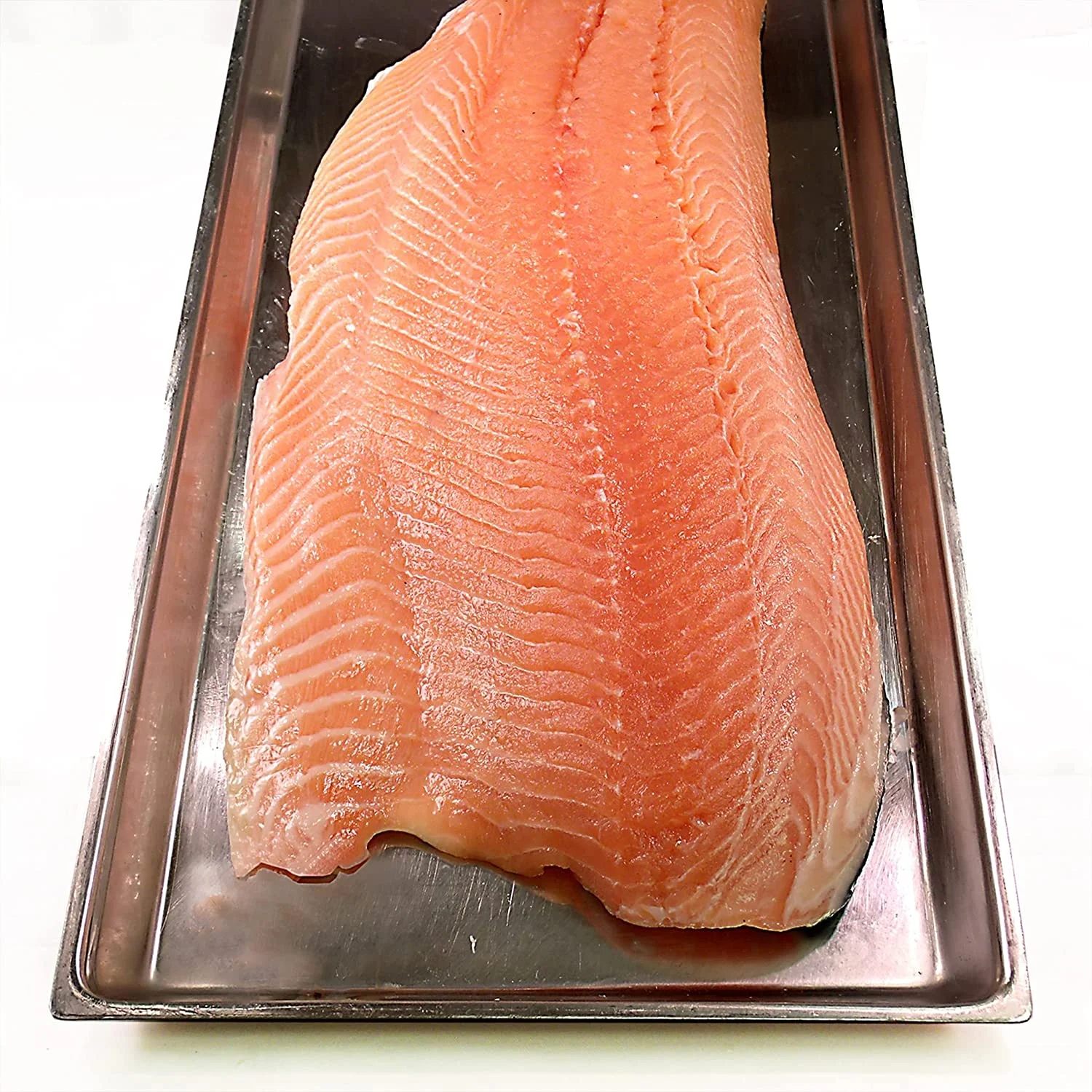 Frozen Salmon Fish / Pink Salmon Fillet / Salmon Fish Belly , Salmon Fish Bellies