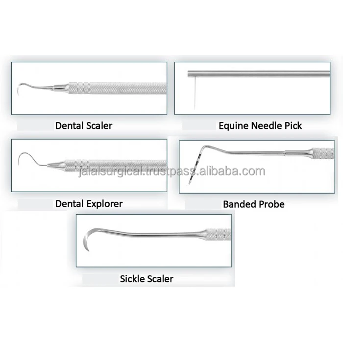 7 Piece Equine Periodontal Instrument Set, Equine Dental Instrument Set