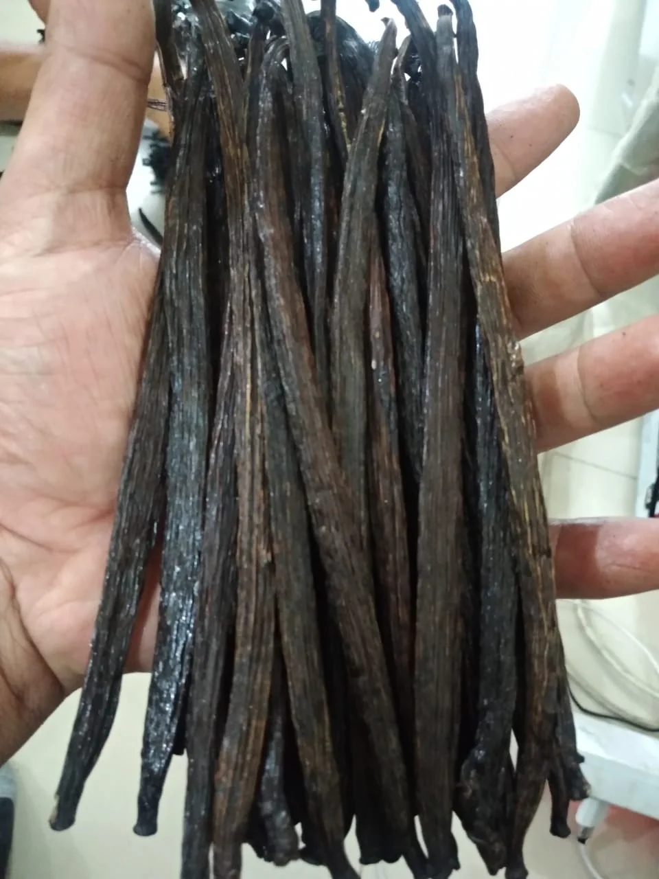 RENDAH TAHITENSIS GRADE-2 20-21.9 CM VANILLA BEANS for EXTRACTION Premium Quality Indonesian Papua Hot Selling with Best Price