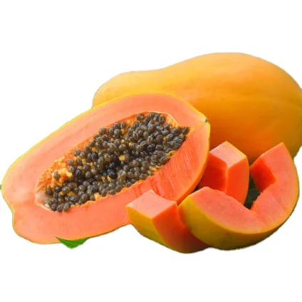 Fresh Papaya Organic Green Papaya Best Quality & Fresh Fruit  From Indian Manufacture