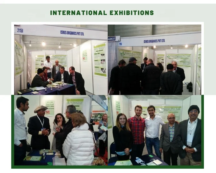 Premium quality organic Neem based Neembuda agro chemicals and pesticides manufacturers from India at affordable prices