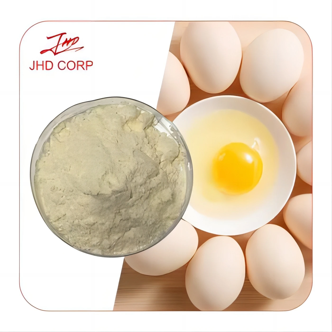 cGMP Factory Wholesale 100% Dried High Foam Egg White Protein Powder
