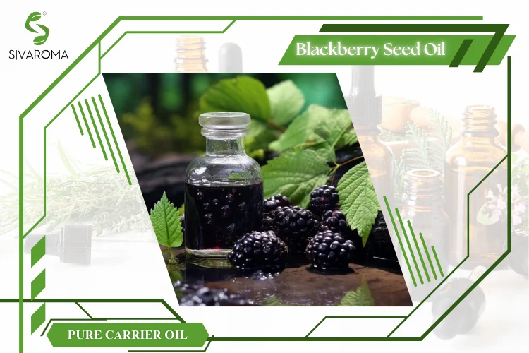 Wholesale Price for Bulk Pure Organic Black Seed Essential Oil Skin-Friendly Perfume and  Fragrance Sale Black Seed oil