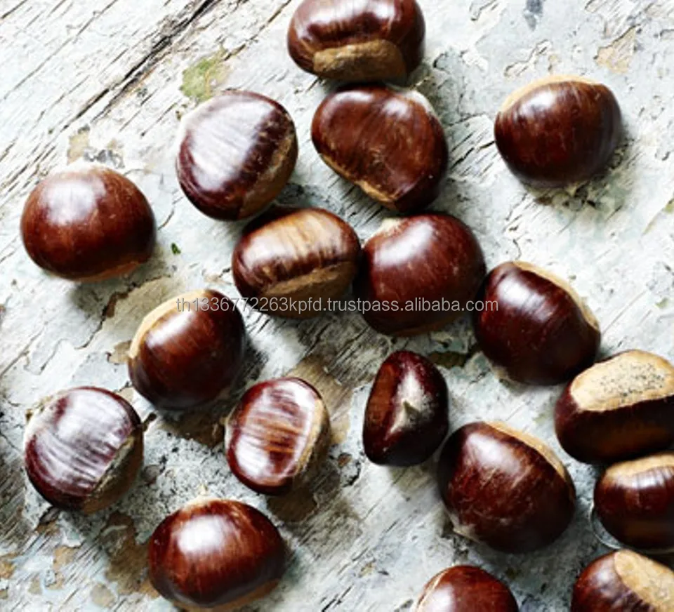 chestnut-m1.jpg