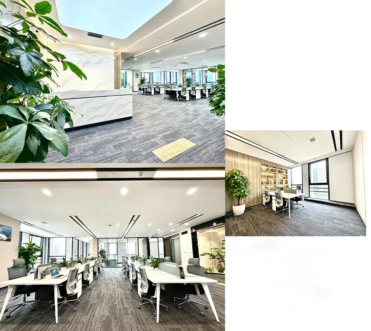 Factory Supply Nutritional Supplements glucosamine chondroitin organic MSM powder methyl sulfonyl methane