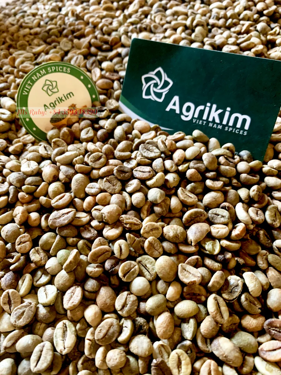 Best Price Robusta Coffee Bean from Vietnam Raw Green Coffee in Bag Packaging Directly Supplied by Mr. Henry +84 36 859 1192