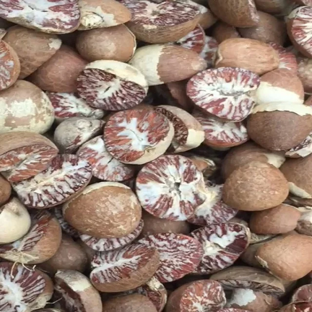  Хорошее качество оптовая продажа орехи Betel 80/85 из Индонезии со стандартом