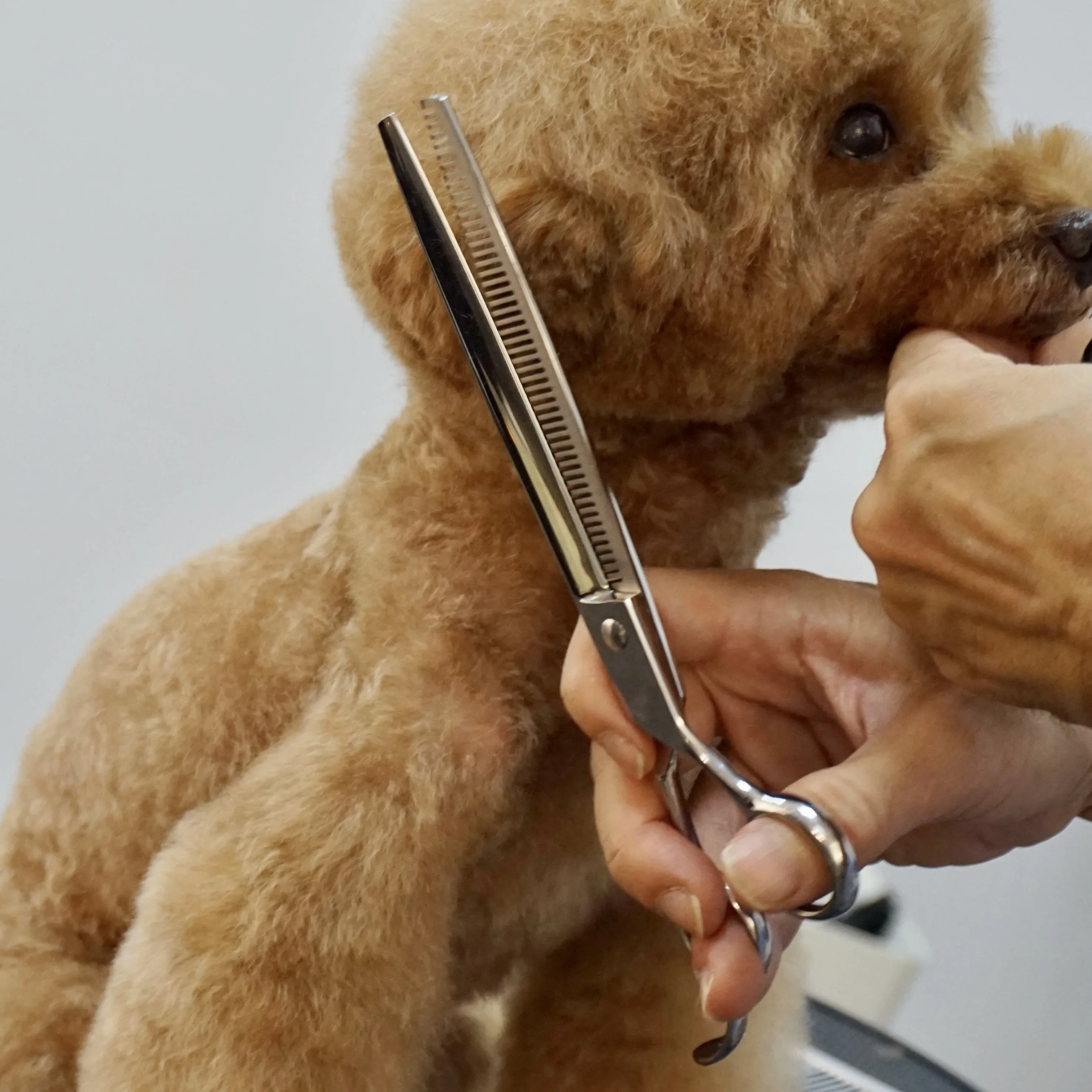 Pet Hair Stone Dog Grooming Scissors Hair Pet Removable Groomer Pet