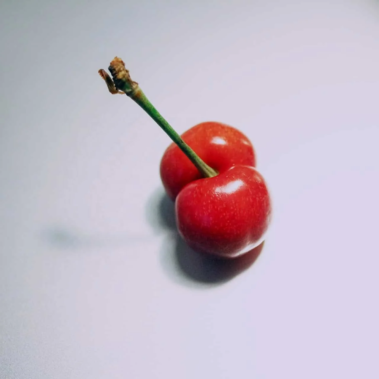 High-quality Wholesale Natural Fresh Cherry Full Of Vitamins Healthy And Delicious Cherry Fresh For Sale