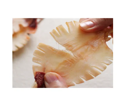 Dry Calamari Seafood Dried Korean Soul Food Made By Drying Small Squid in Korea Best As A Drink Side Dish Snack Delicious Chewy