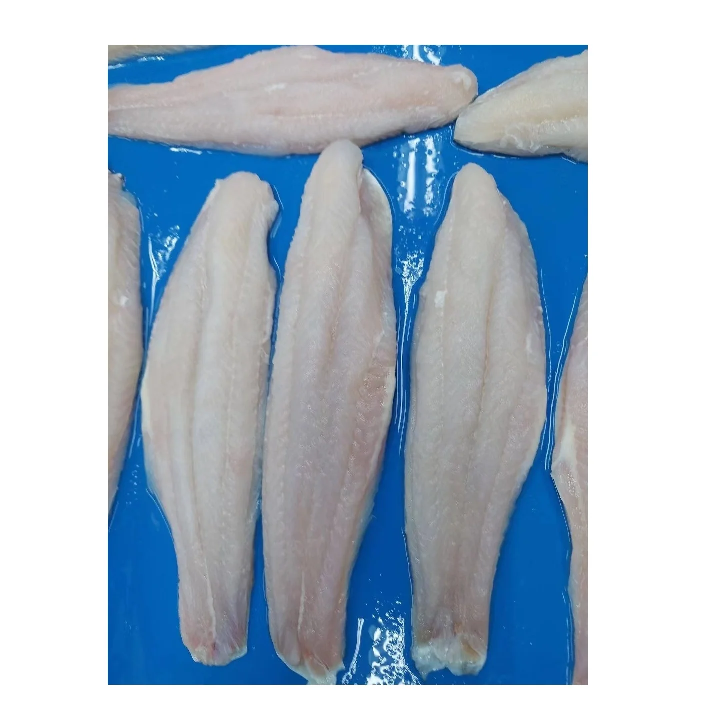Best Seafood Pangasius swai fish/ Pangasius Skin On