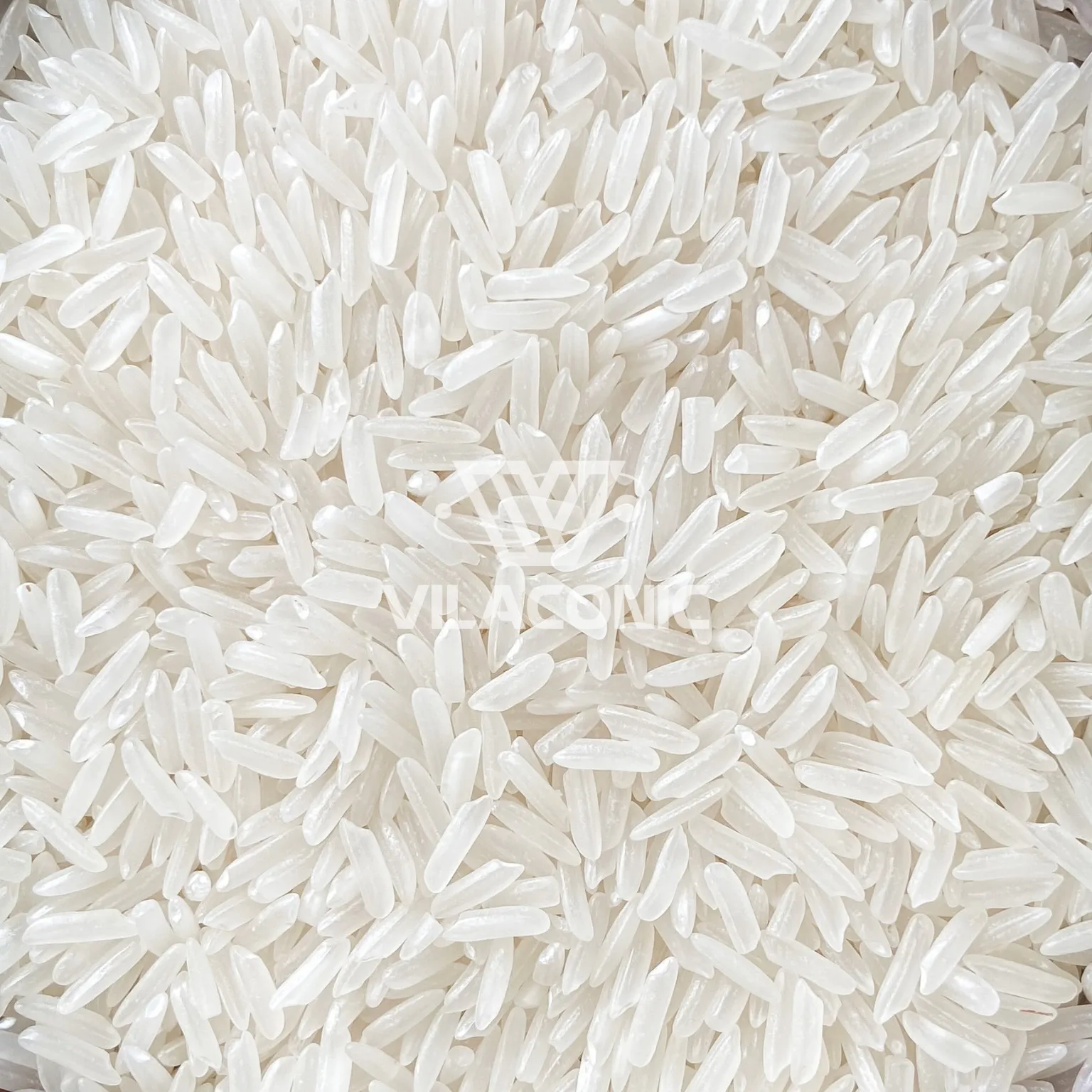 Fragrant Jasmine Rice 5% 10% 15% Broken Vietnamese Rice Whole Sales Good Price Riz