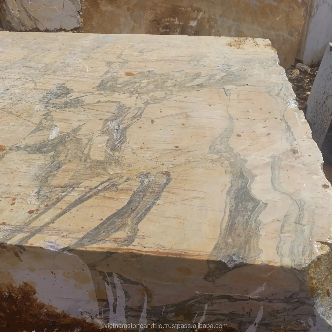 Hot selling Marble Blocks for Sale Italian Marble Stone Flooring Tile Rosalia White and Grey Vein Marble Natural Stone