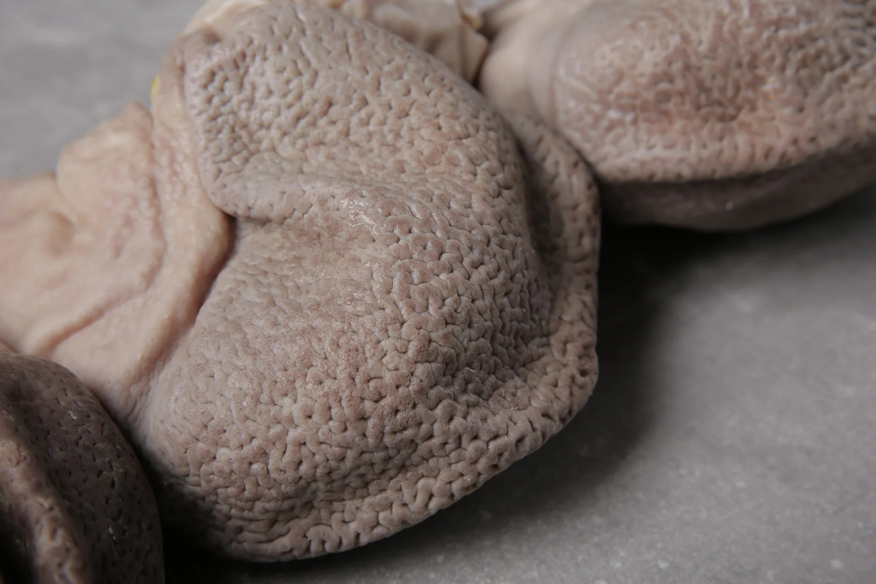 Pork cooked stomach / Frozen stomach cooked