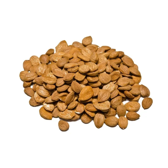 
Organic Apricot Seeds Vitamin B17 B15 Source Bitter Apricot Kernels Agolyn High Quality Good Taste Apricot Kernel/almond Nuts 
