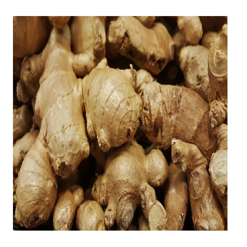 Ginger Zest Spice Up Your Life with Our Premium Quality Ginger Root Air Dried Bursting with spicy-sweet aroma and robust flavor