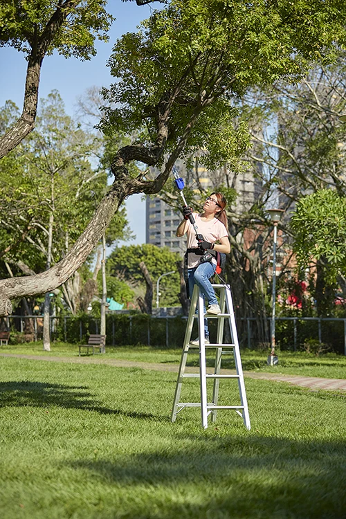 wood cutter TSP-260 chain saw 4.2M