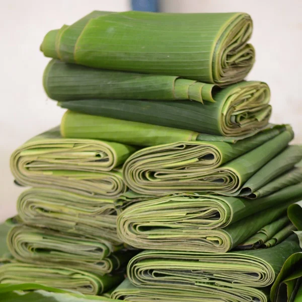 Vietnam Frozen Banana Leaves: 100% Pure and Natural, Biodegradable and Environmentally Friendly