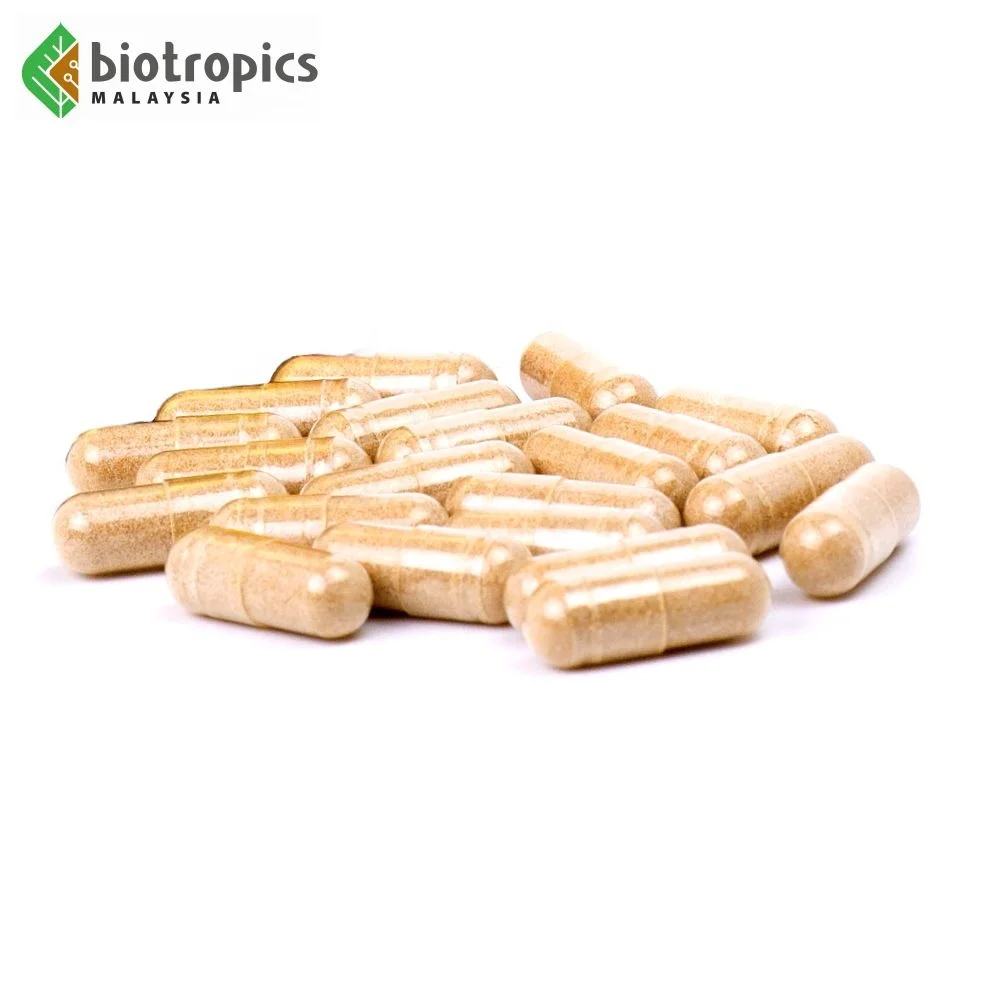 High-Quality Bulk Tongkat Ali Capsules 200mg Standardized Eurycomanone for Sports Performance and Fatigue Recovery Wholesale