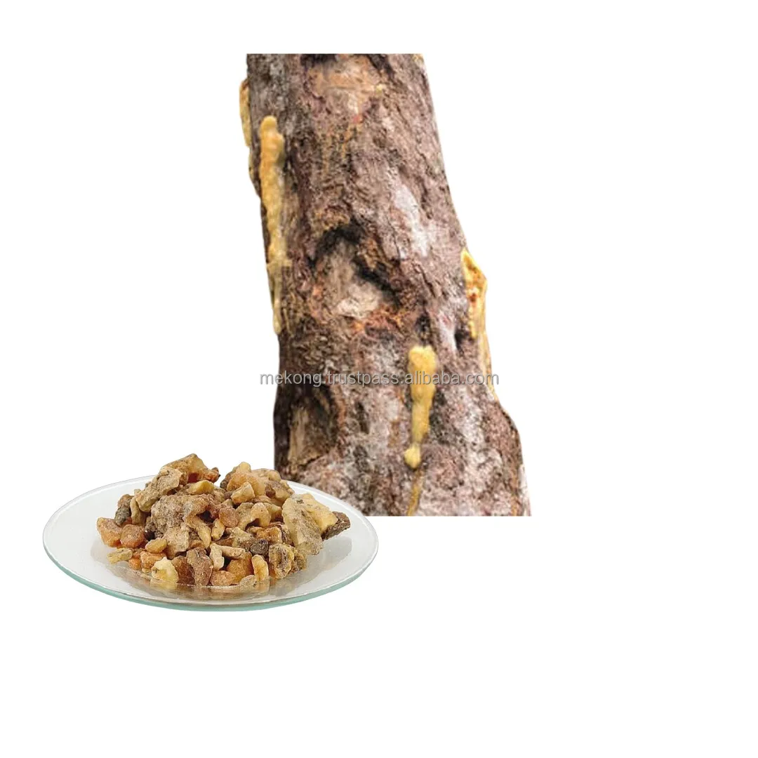 Cheap Price Pure And Natural  Benzoin Siam Resin And Resiniod For Oil Ready To Ship