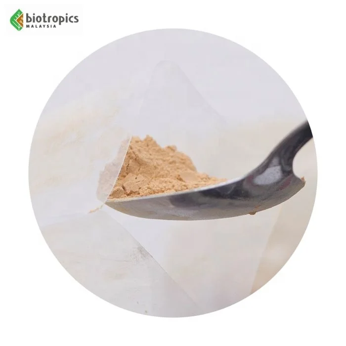 New Premium Standardized Ingredient Eurycoma Longifolia (Tongkat Ali) Roots Extract Harvested & Processed in Malaysia