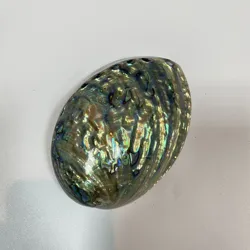 Raw Abalone Shell Art Polished Shell Vietnam Handmade Raw Abalone Decorative Shell Astray - OEM, ODM HJ ASH 001 130mm*50mm