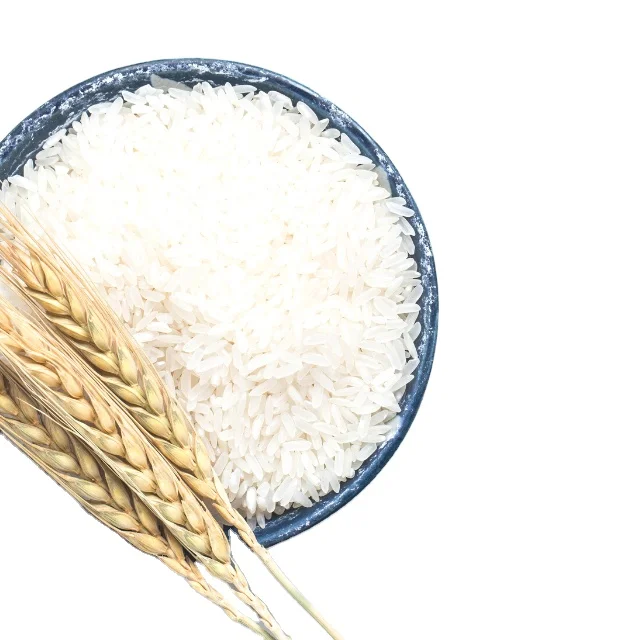 Best Seller Excellent Grade Vietnam Japonica Rice Good Price 15% 10% 5% Broken Rice Exporter