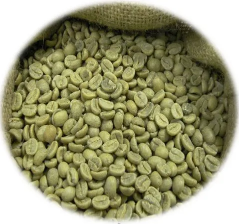 New crop 2024 Vietnam green coffee beans Arabica and Robusta coffee bean fast shipping cheap price whatsapp  +84 968715470