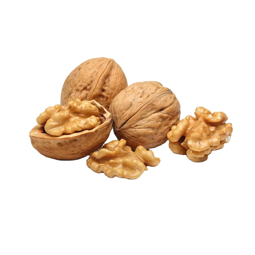 Wholesale highest grade Walnut With Shell and Without Shell in bulk dried organic Walnut available for sale at best price