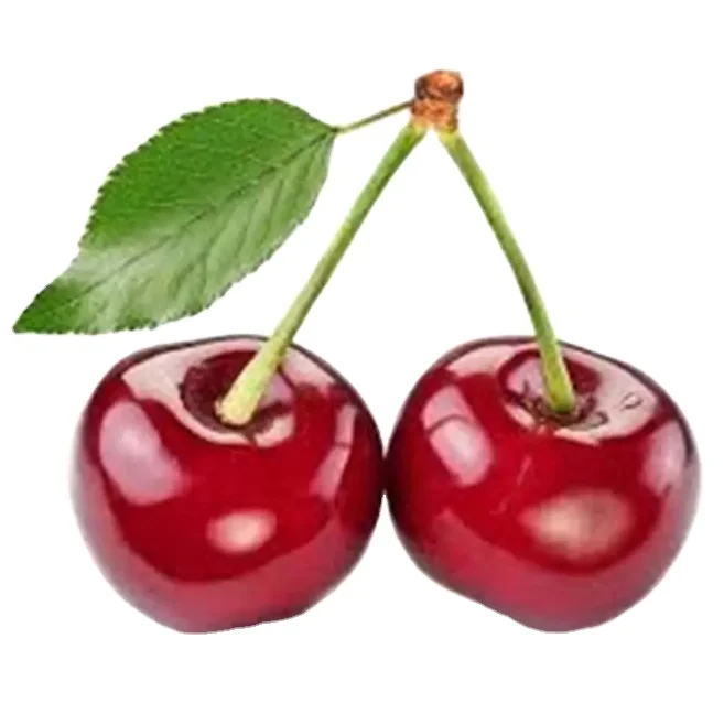 Высококачественный Сертифицированный фрукт сладкой красной вишни из Узбекистана, производитель, оптовая цена на экспорт