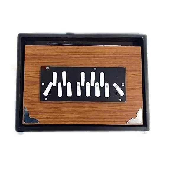 Classic  Shruti Box Sur Peti Surpeti Indian Musical Instrument with Bag at Wholesale Prices