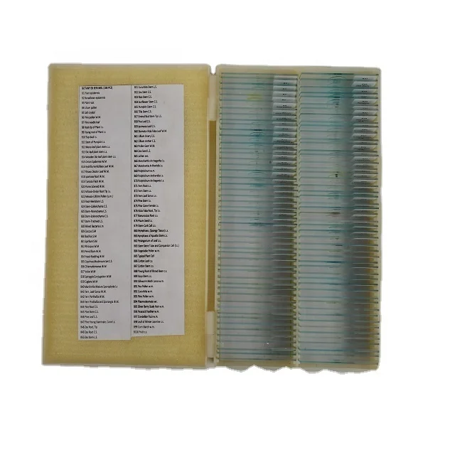 Parasitology Prepared Microscope Slides High Quality Images Long-Term Use Educational Prepared Slides for Schools Faculties