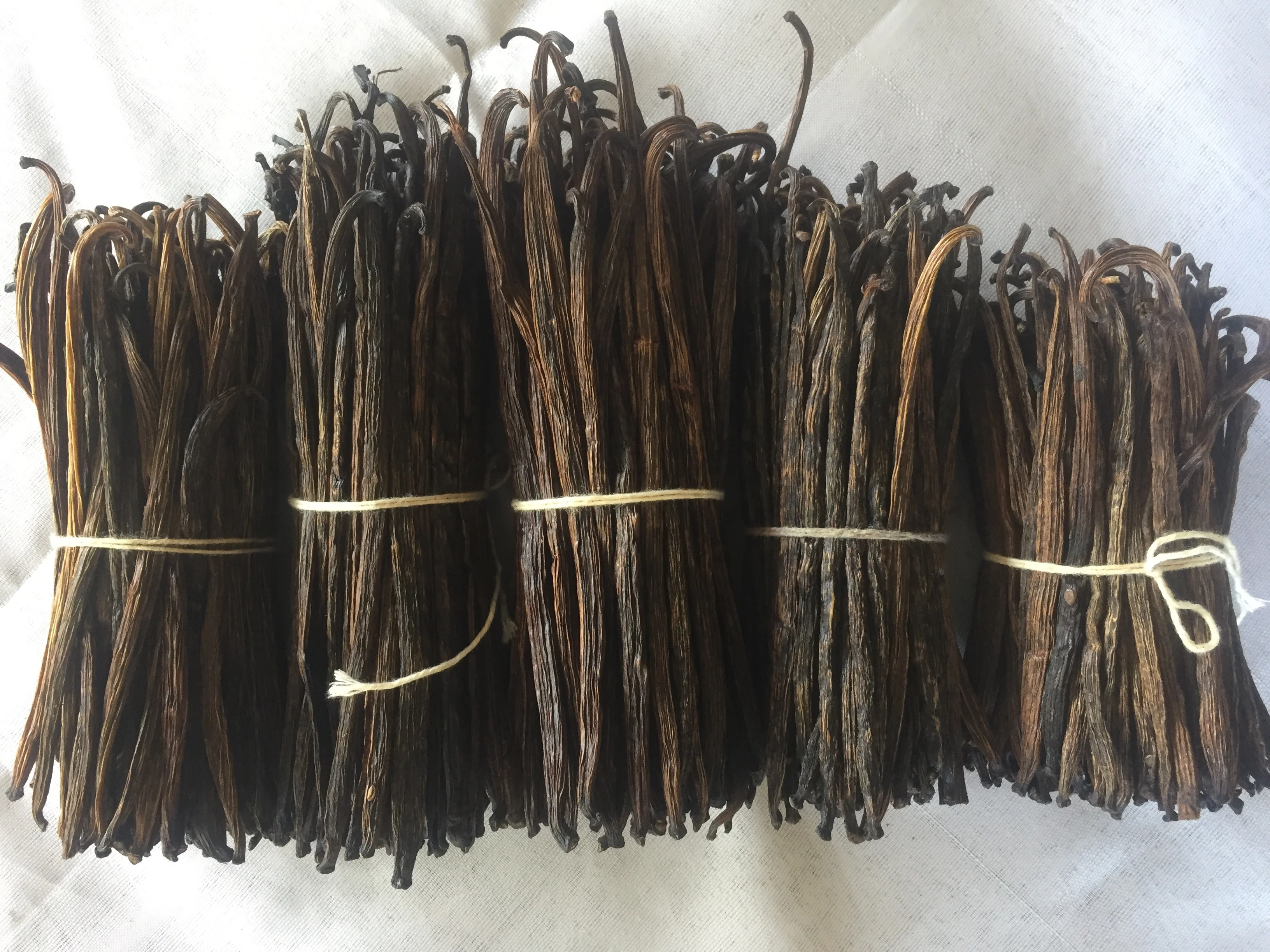 RENDAH PLANIFOLIA GRADE-3 18-19 CM VANILLA BEANS for EXTRACTION Hot Selling Indonesian Best Quality Bourbon with Best Price