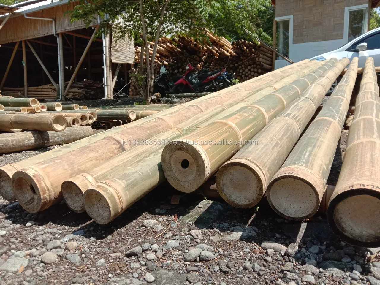 Bamboo Poles Natural Straight for Construction 8m (Non-Treated)