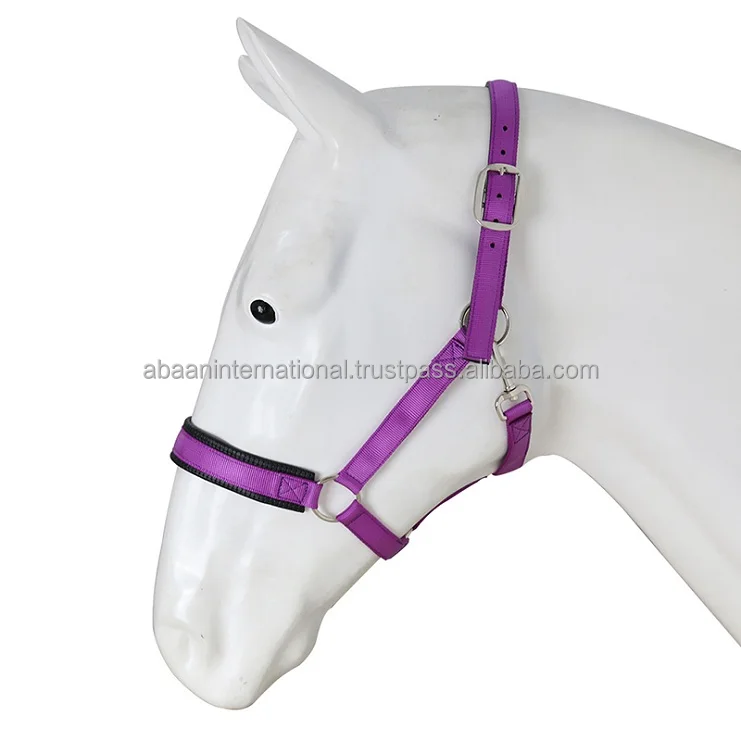Top Selling High Quality Horse Nylon Halter Plain Head Collar Racing Manufacturer in India