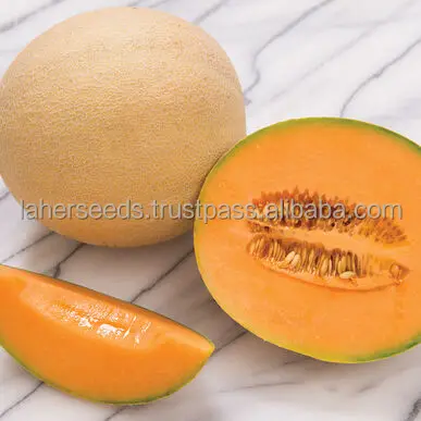  F1 семена сладкой дыни для выращивания