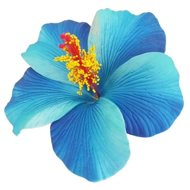 Best seller good quality Handcraft Handmade artificial hibiscus foam flower with special tattoo and color pattern