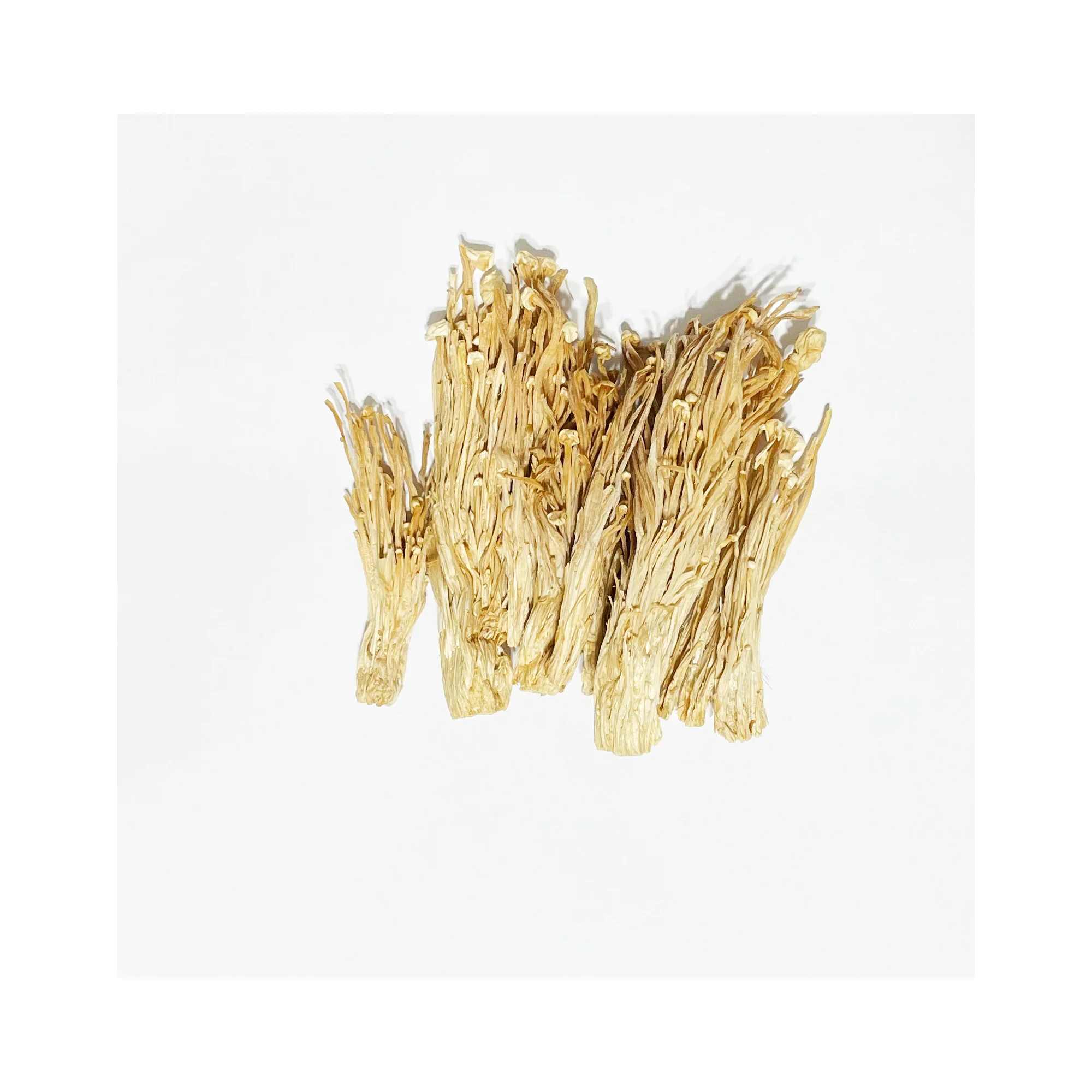 Factory price enokitake flammulina filiformis mushrooms