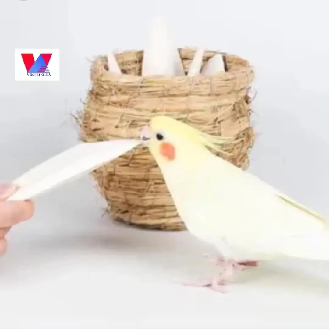 High quality - meets export standards, Dried Bulk Top Grade cuttlefish bone For Birds and Reptiles from Vietnam