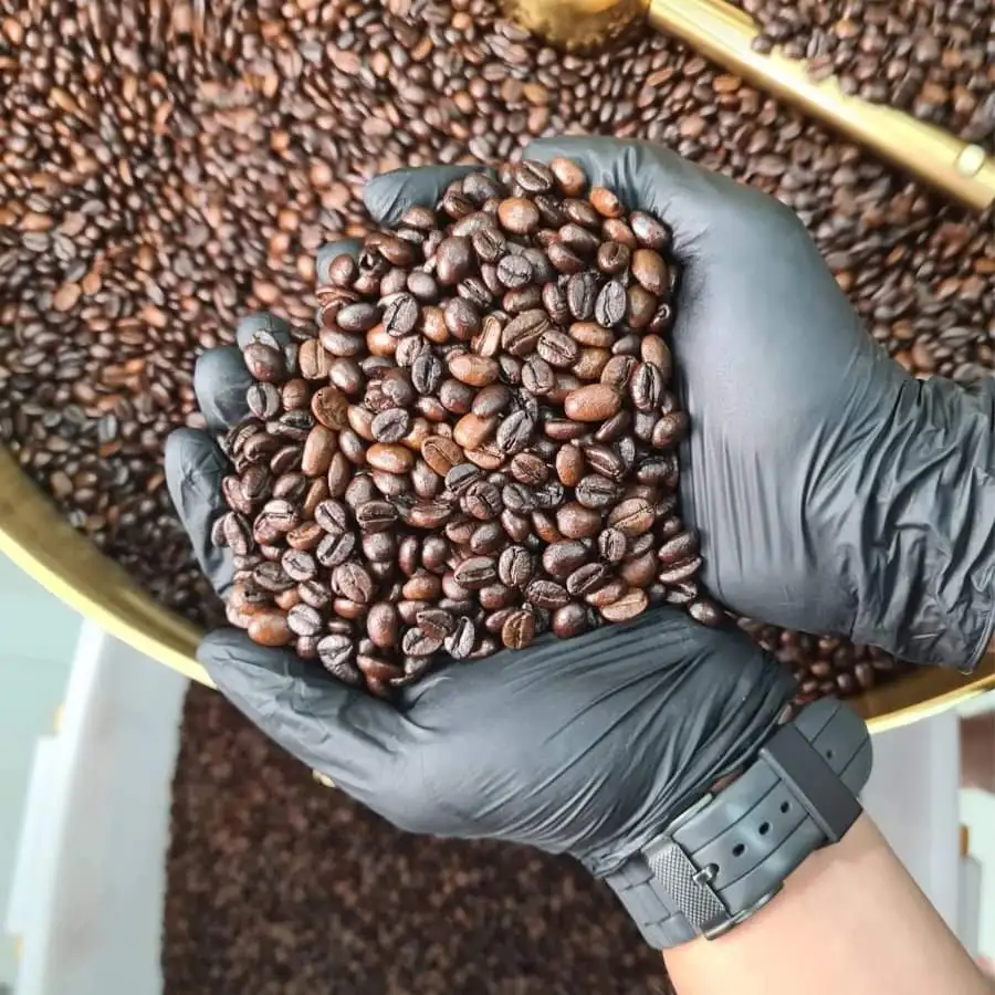 Roasted Coffee Beans Robusta Green Coffee Beans from VIETNAM