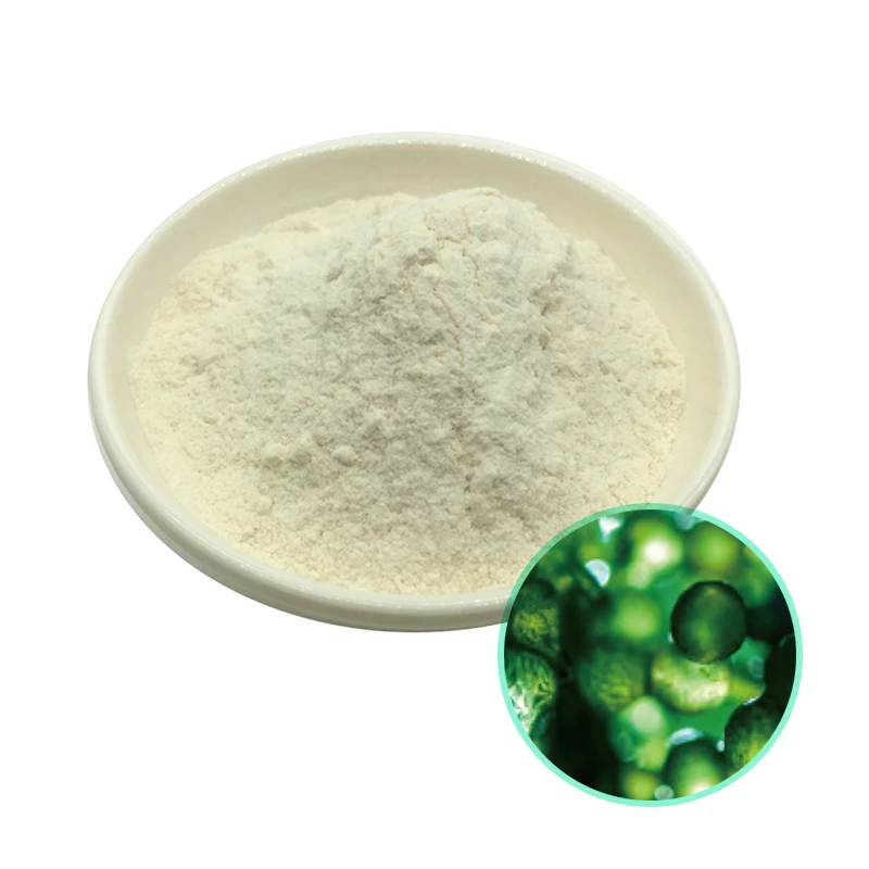 Richtek Ltd MICROCELL Brand Nutritional Dietary Supplement High EPA Content 5% Nannochloropsis Gaditana Algae Oil Powder
