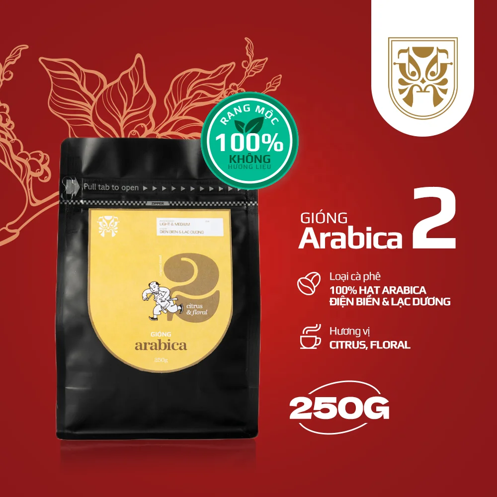 Кофе Арабика 100% отлично подходит для наполнения и погружения Giong arabica 2 соединение кофе легкое среднее обжарение цельные бобы