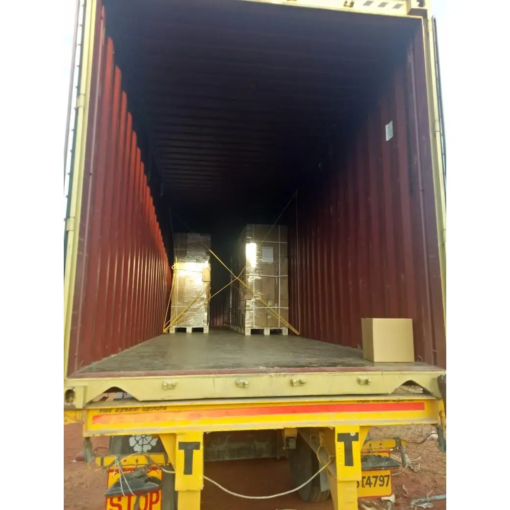 Eco-Friendly , 100 % Natural, Bio- degradable Disposable Areca Palm Leaf Rectangular 2 compartment Plate 23.6 cm Double Tray, no