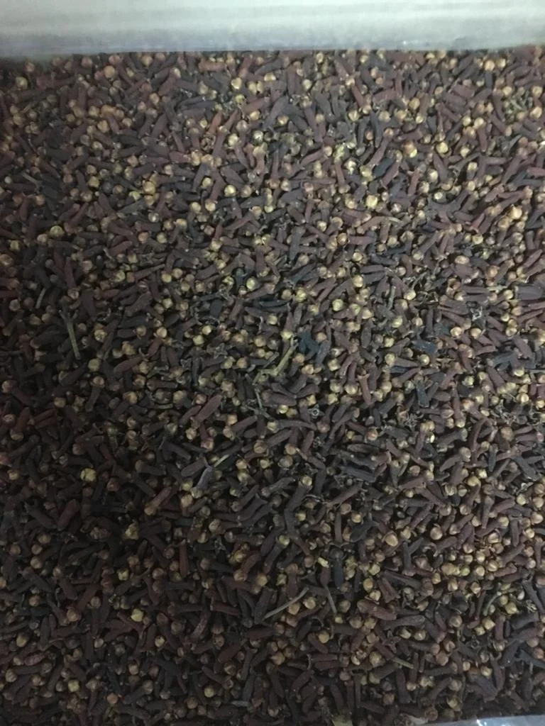 Clove Herbs Spices Top Quality Spices Organic Clove Meat Cooking Products in Bulk High Essential Oil Content Cloves