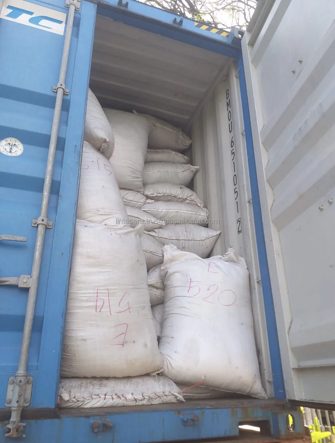 Best Selling Quality Whole 550 and 570 GL MC Cleaned Black Pepper